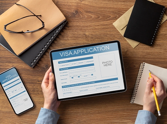 visa process company